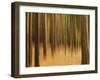 Zadel-David Baker-Framed Photographic Print