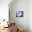 Zaha Hadid Designed Apartments, Spittelau, Vienna, Austria, Europe-Jean Brooks-Mounted Photographic Print displayed on a wall