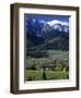 Zakopane, Tatra Mountains, Poland-Walter Bibikow-Framed Photographic Print