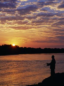 Zambezi National Park, Sausage Tree Camp, Fly-Fishing for Tiger Fish at  Sunset on River, Zambia' Photographic Print - John Warburton-lee 