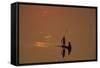 Zambia Fishermen at Sunset on the Luangwa River-null-Framed Stretched Canvas