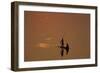 Zambia Fishermen at Sunset on the Luangwa River-null-Framed Photographic Print