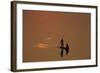 Zambia Fishermen at Sunset on the Luangwa River-null-Framed Photographic Print