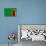 Zambia Flag Design with Wood Patterning - Flags of the World Series-Philippe Hugonnard-Art Print displayed on a wall