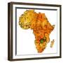 Zambia on Actual Map of Africa-michal812-Framed Premium Giclee Print