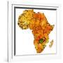 Zambia on Actual Map of Africa-michal812-Framed Art Print