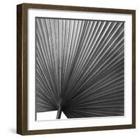 Zamora Noir - Focus-Ben Wood-Framed Giclee Print