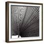 Zamora Noir - Focus-Ben Wood-Framed Art Print