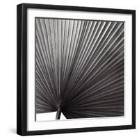 Zamora Noir - Focus-Ben Wood-Framed Art Print