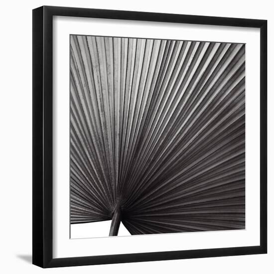 Zamora Noir - Focus-Ben Wood-Framed Art Print