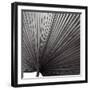 Zamora Noir - Focus-Ben Wood-Framed Art Print