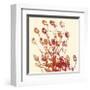 Zamora-Erin Clark-Framed Giclee Print