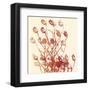 Zamora-Erin Clark-Framed Art Print