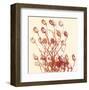 Zamora-Erin Clark-Framed Art Print