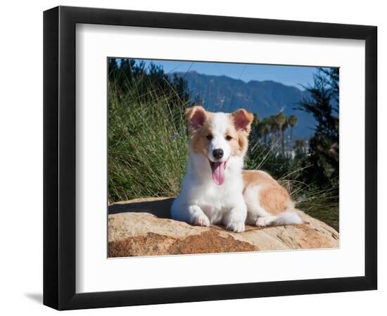 Premium Photographic Print, , large
