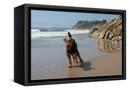 Canvas Black