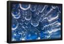 Essential Black