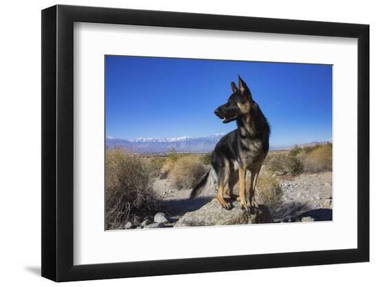 Premium Photographic Print, , large