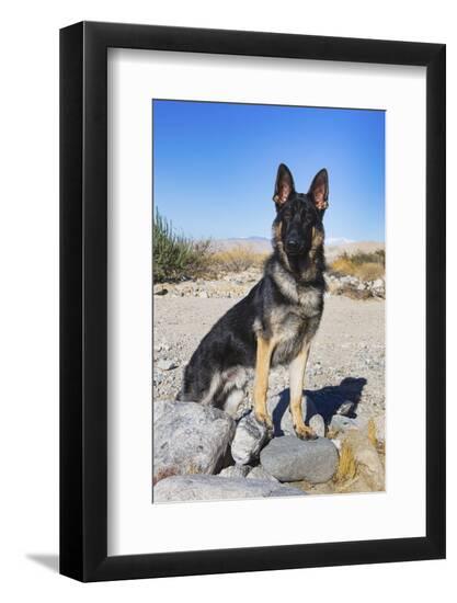 Premium Photographic Print, , large