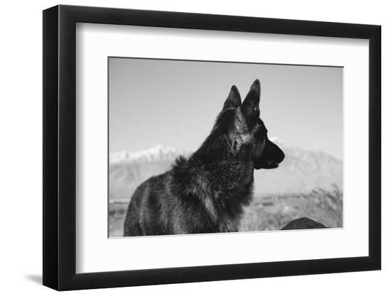 Premium Photographic Print, , large