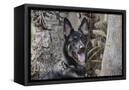 Canvas Black
