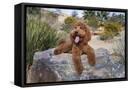 Canvas Black