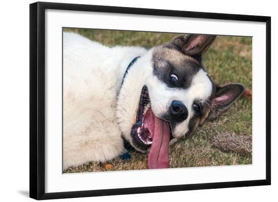 Photographic Print, , large