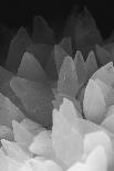 Sliced rock crystals-Zandria Muench Beraldo-Photographic Print