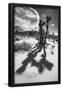 Essential Black