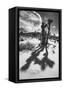 Canvas Black