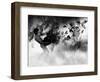 Zanix-Fabio Panichi-Framed Photographic Print