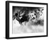 Zanix-Fabio Panichi-Framed Photographic Print