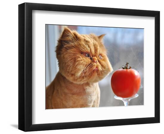 Photographic Print, , large