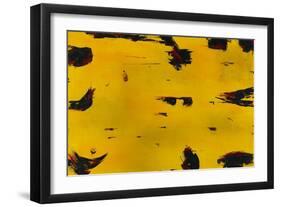 Zanzabar-Brent Abe-Framed Giclee Print