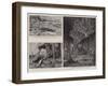 Zanzibar after the Bombardment-null-Framed Giclee Print