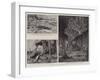 Zanzibar after the Bombardment-null-Framed Giclee Print