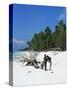 Zanzibari Boys Playing on Pingwe Beach, Zanzibar, Tanzania, East Africa, Africa-Yadid Levy-Stretched Canvas