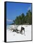 Zanzibari Boys Playing on Pingwe Beach, Zanzibar, Tanzania, East Africa, Africa-Yadid Levy-Framed Stretched Canvas