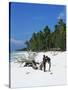 Zanzibari Boys Playing on Pingwe Beach, Zanzibar, Tanzania, East Africa, Africa-Yadid Levy-Stretched Canvas