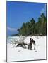 Zanzibari Boys Playing on Pingwe Beach, Zanzibar, Tanzania, East Africa, Africa-Yadid Levy-Mounted Photographic Print