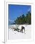 Zanzibari Boys Playing on Pingwe Beach, Zanzibar, Tanzania, East Africa, Africa-Yadid Levy-Framed Photographic Print