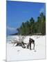 Zanzibari Boys Playing on Pingwe Beach, Zanzibar, Tanzania, East Africa, Africa-Yadid Levy-Mounted Photographic Print