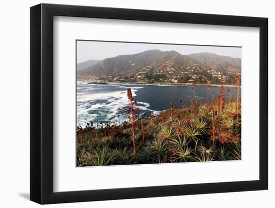 Zapallar coast, central Chile,  South America-David Pickford-Framed Premium Photographic Print