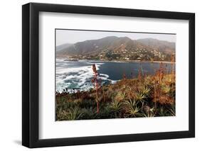 Zapallar coast, central Chile,  South America-David Pickford-Framed Premium Photographic Print