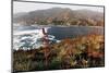 Zapallar coast, central Chile,  South America-David Pickford-Mounted Premium Photographic Print