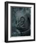 Zape-Fabio Panichi-Framed Photographic Print