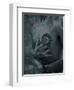 Zape-Fabio Panichi-Framed Photographic Print