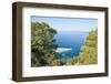 Zarace Bay, Hvar Island, Croatia-Guido Cozzi-Framed Photographic Print