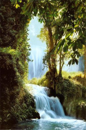 XXL Poster Zaragoza Falls Schöner Wasserfall Dschungel 