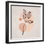 Zarif Cicekler 01-Emel Tunaboylu-Framed Giclee Print